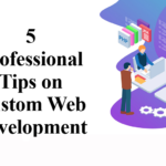 5 Professional Tips on Custom Web Development