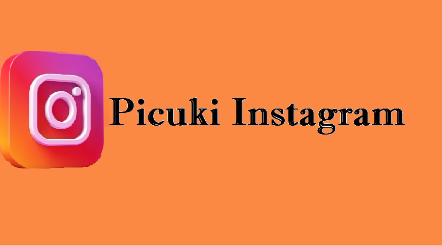 Instagram picuki