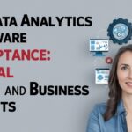 Big Data Analytics Software Acceptance: Global Trends and Business Insights